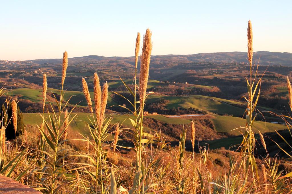 קסטלפיורנטינו Agriturismo Le Docce מראה חיצוני תמונה